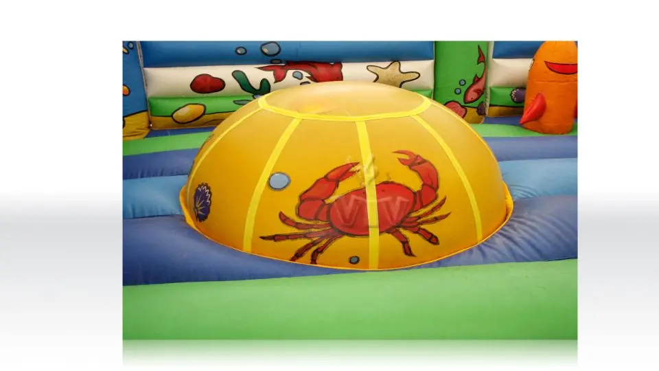 Active Center Ocean 6.9 x 5.9 x 3.3 m commercial inflatable active center